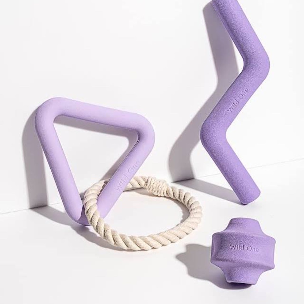 Wild One Toy Bundle